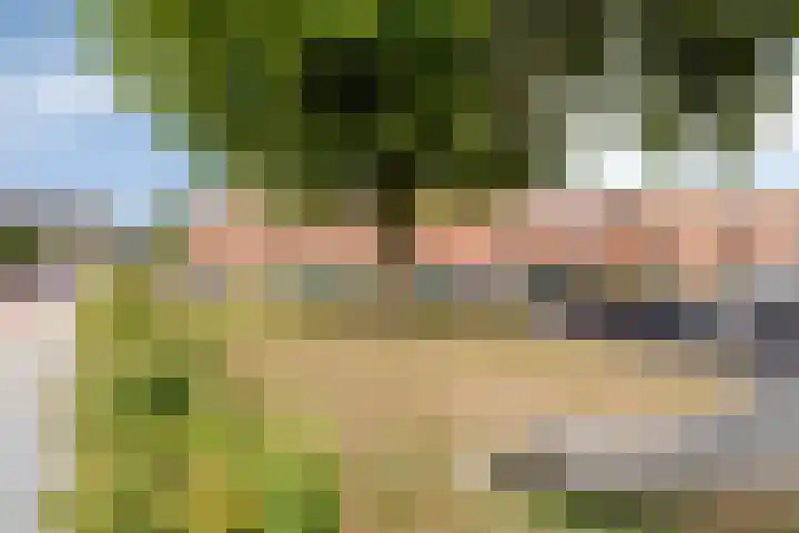 Prins Bernhardlaan 12 Spijkenisse thumbnail 22