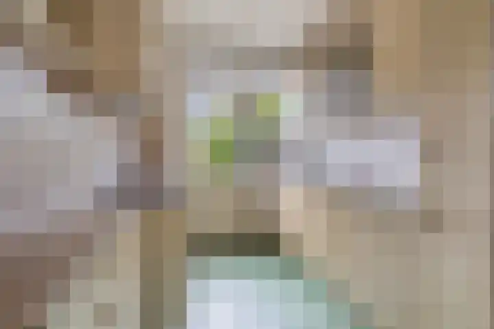 Prins Bernhardlaan 12 Spijkenisse thumbnail 8