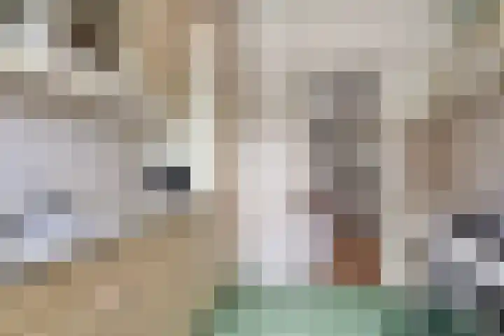 Prins Bernhardlaan 12 Spijkenisse thumbnail 9