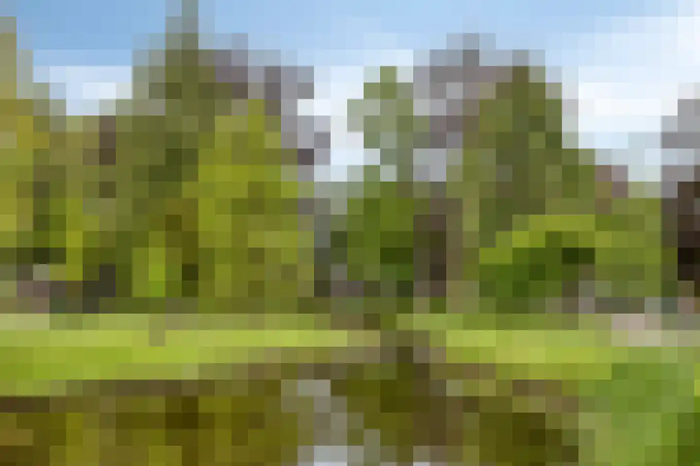 Prins Bernhardlaan 12 Vught thumbnail 17