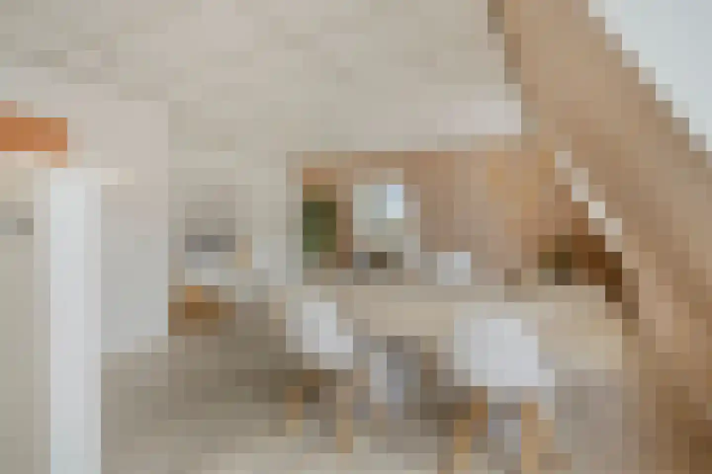 Prins Bernhardlaan 12 Vught thumbnail 8
