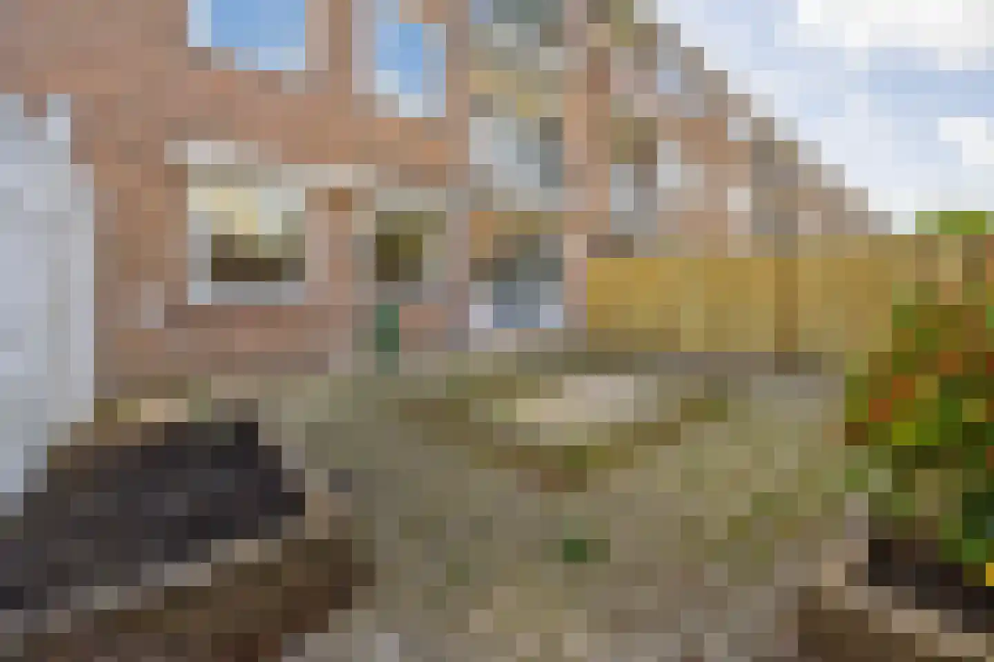 Prins Bernhardlaan 123 Leidschendam thumbnail 18