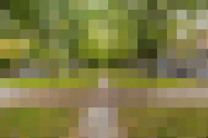 Prins Bernhardlaan 126 Utrecht thumbnail 17