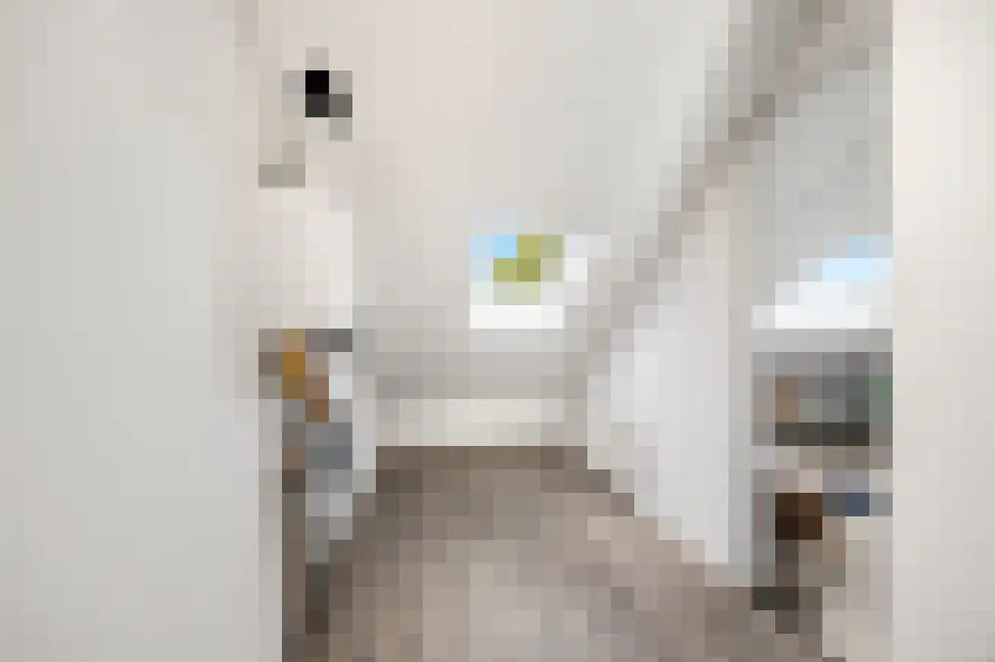Prins Bernhardlaan 128 Voorburg thumbnail 31