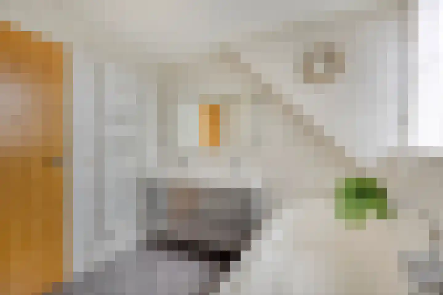 Prins Bernhardlaan 129 Middelharnis thumbnail 20