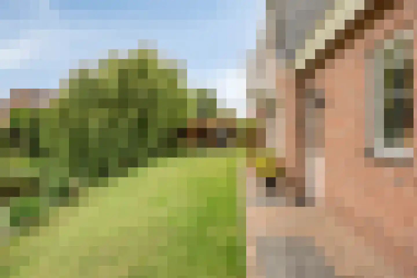 Prins Bernhardlaan 129 Middelharnis thumbnail 30