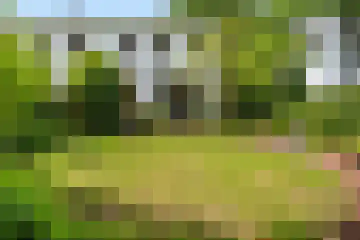Prins Bernhardlaan 13 Amersfoort thumbnail 14