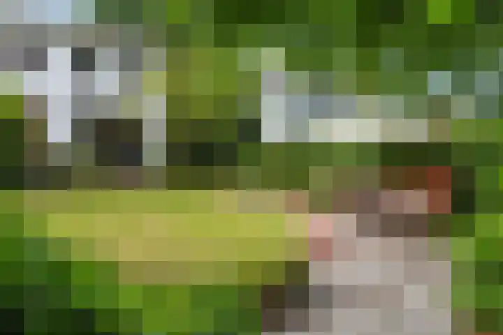 Prins Bernhardlaan 13 Amersfoort thumbnail 17