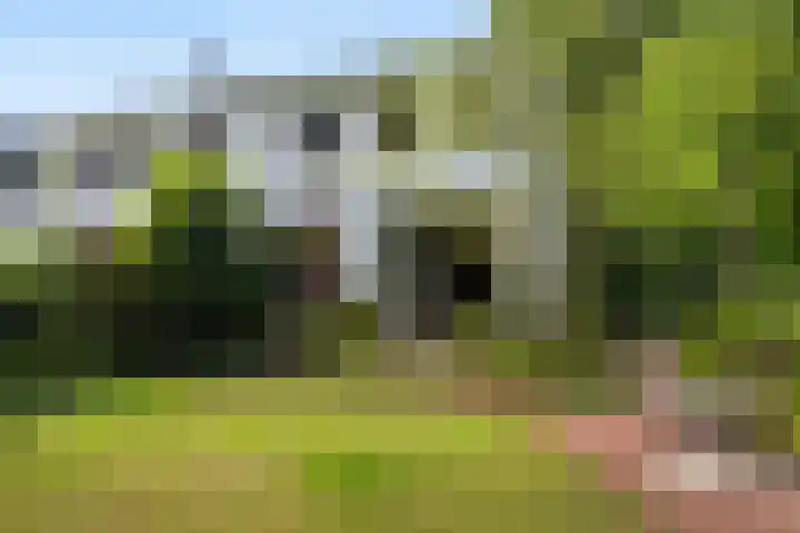 Prins Bernhardlaan 13 Amersfoort thumbnail 19