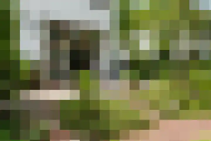 Prins Bernhardlaan 13 Amersfoort thumbnail 20