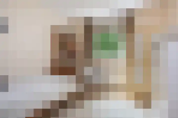 Prins Bernhardlaan 13 Amersfoort thumbnail 27