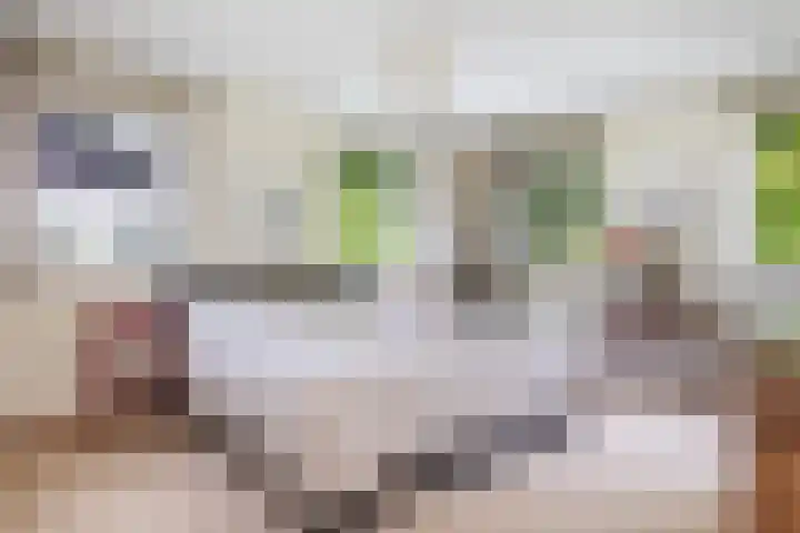 Prins Bernhardlaan 13 Amersfoort thumbnail 29