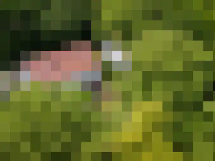 Prins Bernhardlaan 13 Amersfoort thumbnail 41