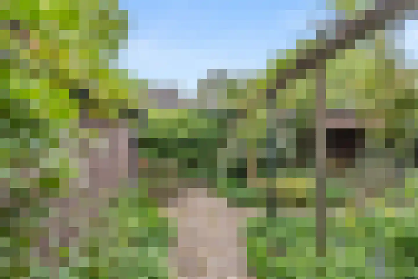 Prins Bernhardlaan 13 Bennekom thumbnail 11