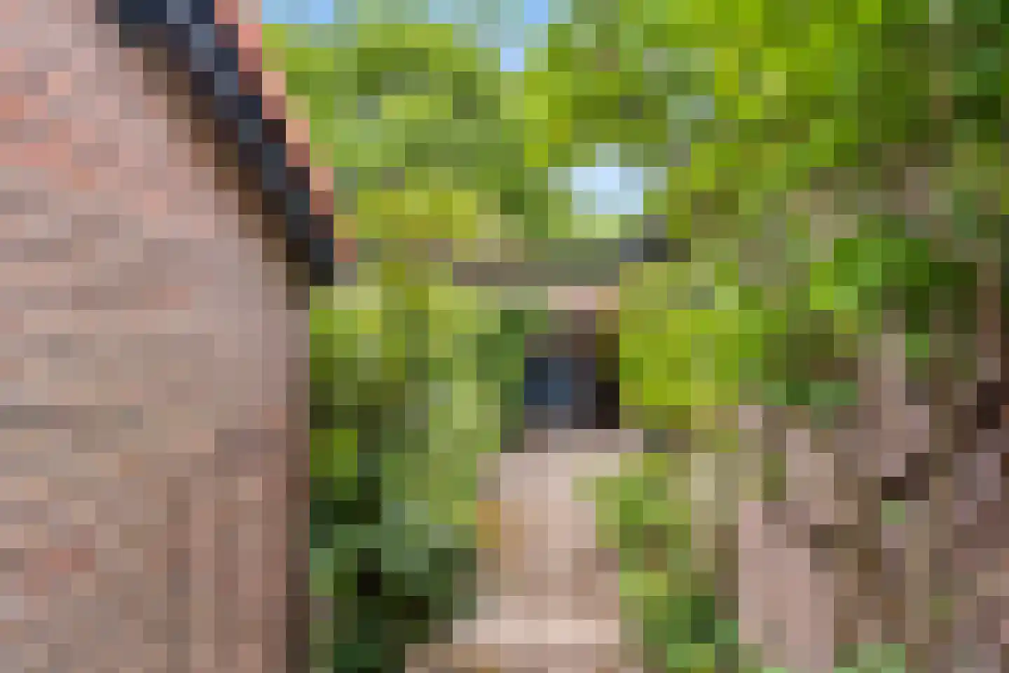 Prins Bernhardlaan 13 Bennekom thumbnail 12