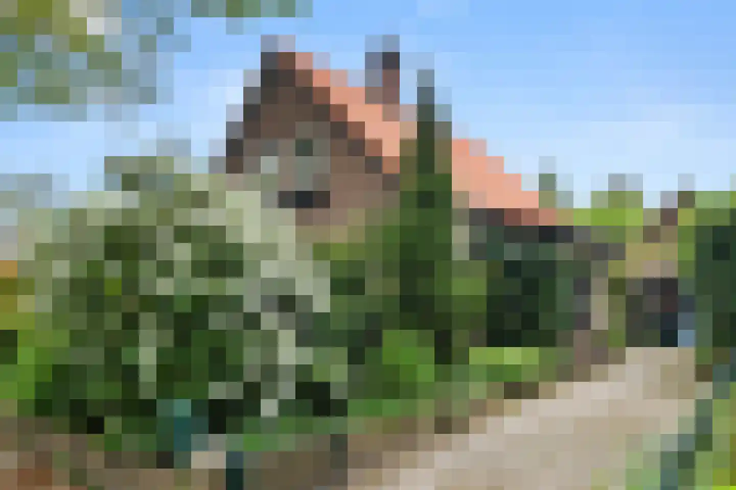 Prins Bernhardlaan 13 Bennekom thumbnail 42