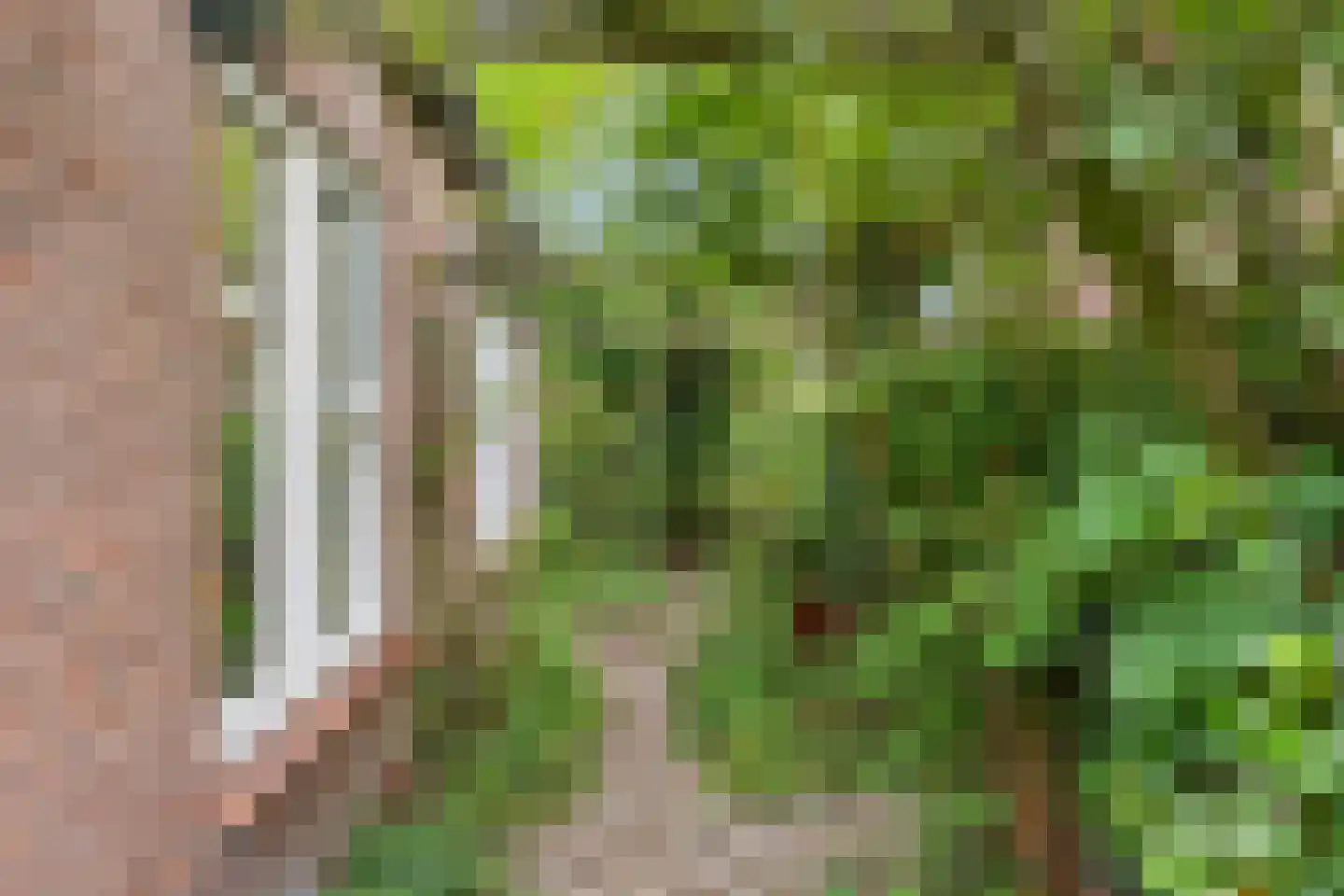 Prins Bernhardlaan 13 Bennekom thumbnail 8