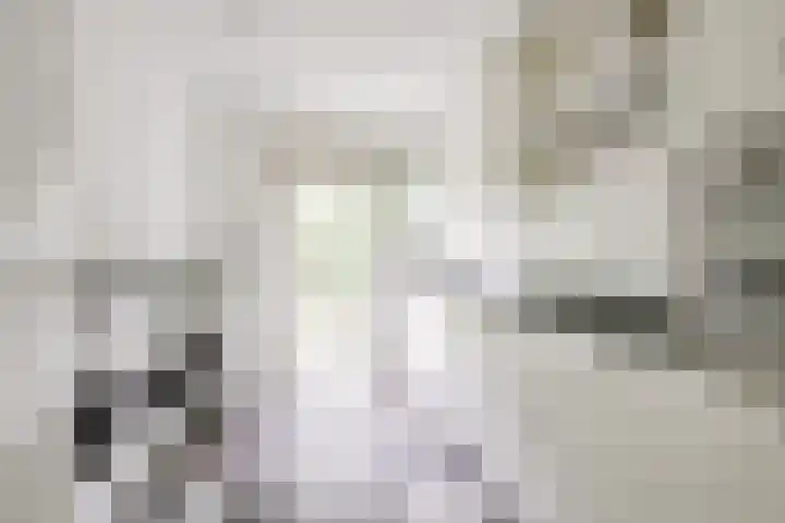 Prins Bernhardlaan 13 Doorn thumbnail 18