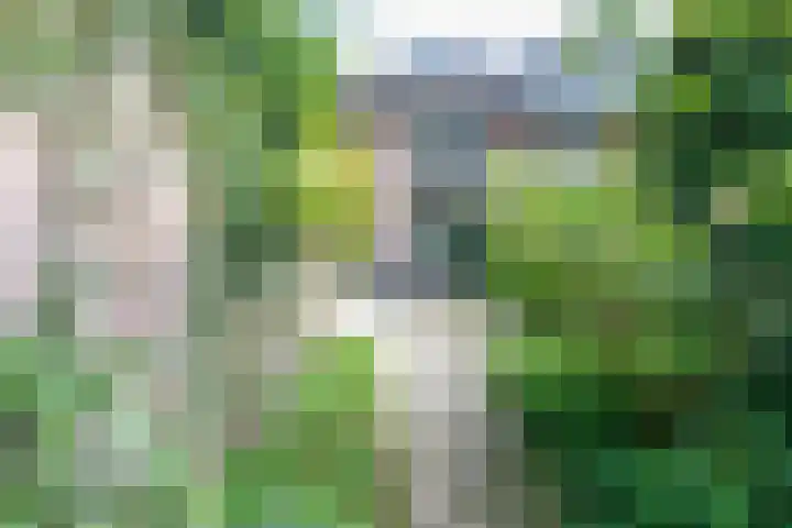 Prins Bernhardlaan 13 Doorn thumbnail 22
