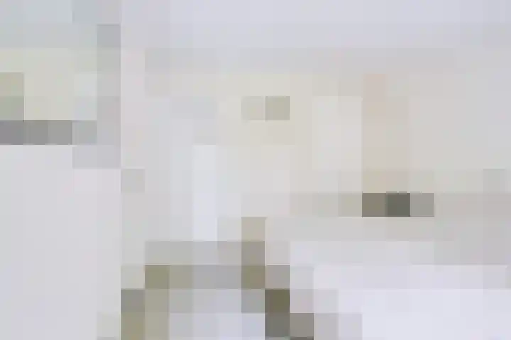 Prins Bernhardlaan 13 Doorn thumbnail 26