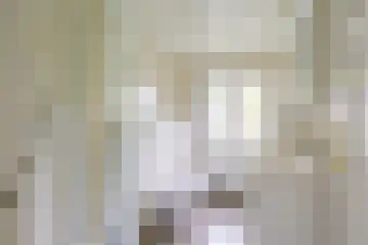 Prins Bernhardlaan 13 Doorn thumbnail 28