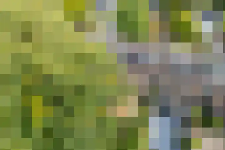 Prins Bernhardlaan 13 Doorn thumbnail 44