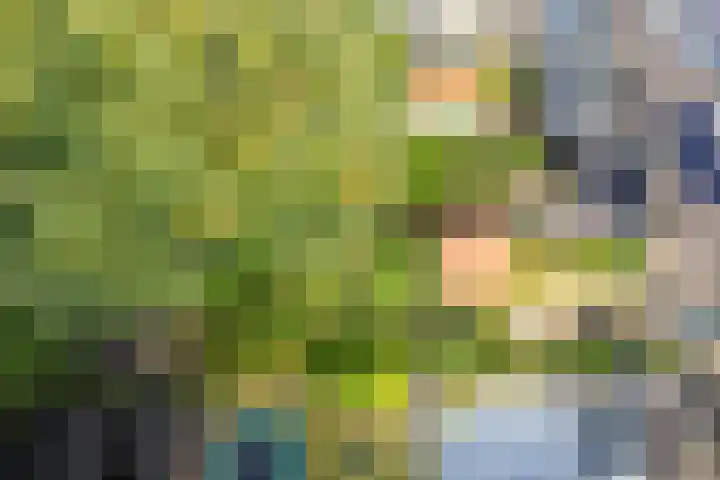 Prins Bernhardlaan 13 Doorn thumbnail 45