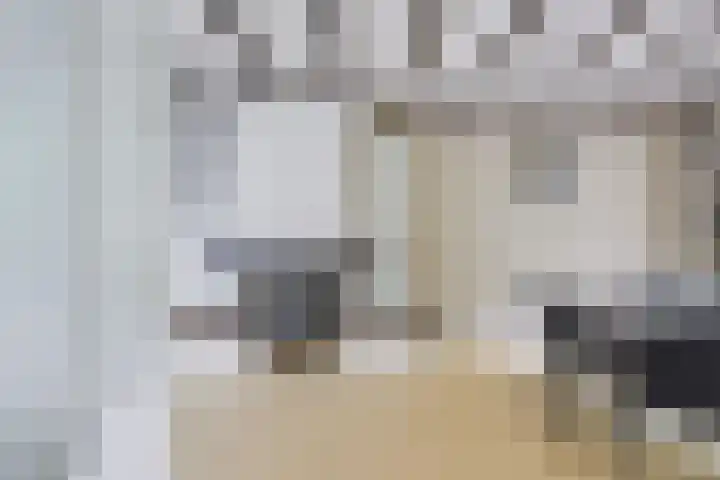 Prins Bernhardlaan 13 Doorn thumbnail 6