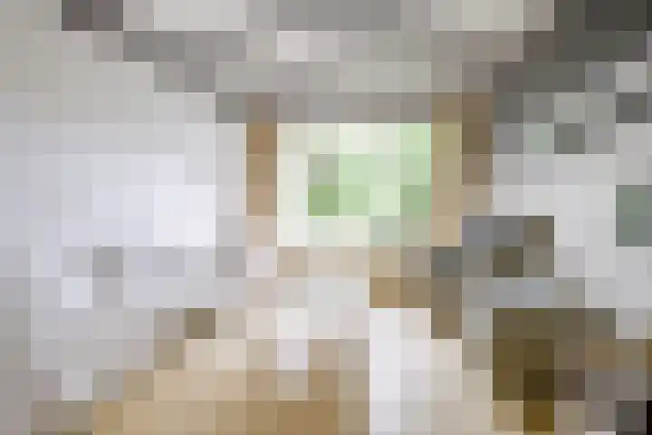 Prins Bernhardlaan 13 Doorn thumbnail 8