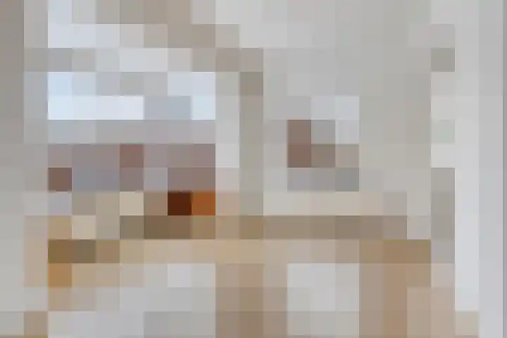 Prins Bernhardlaan 13 Veendam thumbnail 24