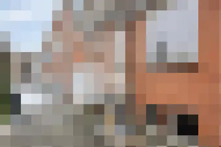 Prins Bernhardlaan 13 Veendam thumbnail 39