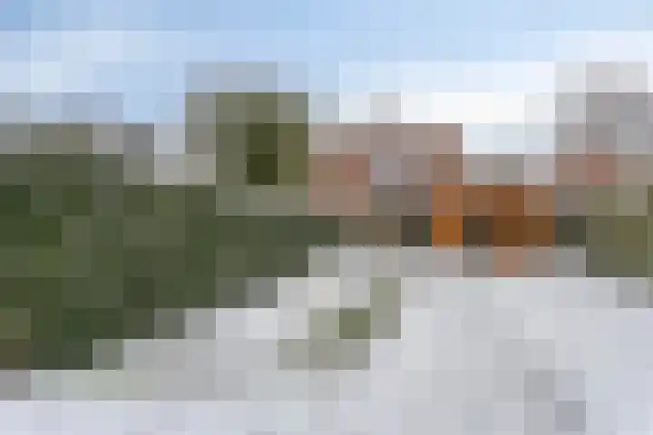 Prins Bernhardlaan 13 Veendam thumbnail 51