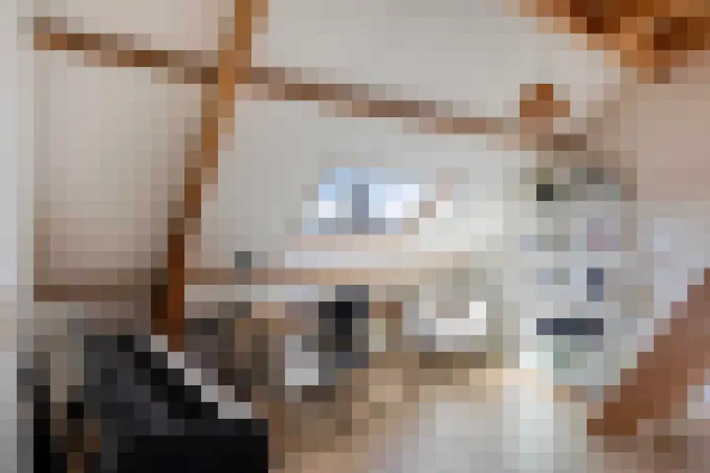 Prins Bernhardlaan 13 Zutphen thumbnail 31