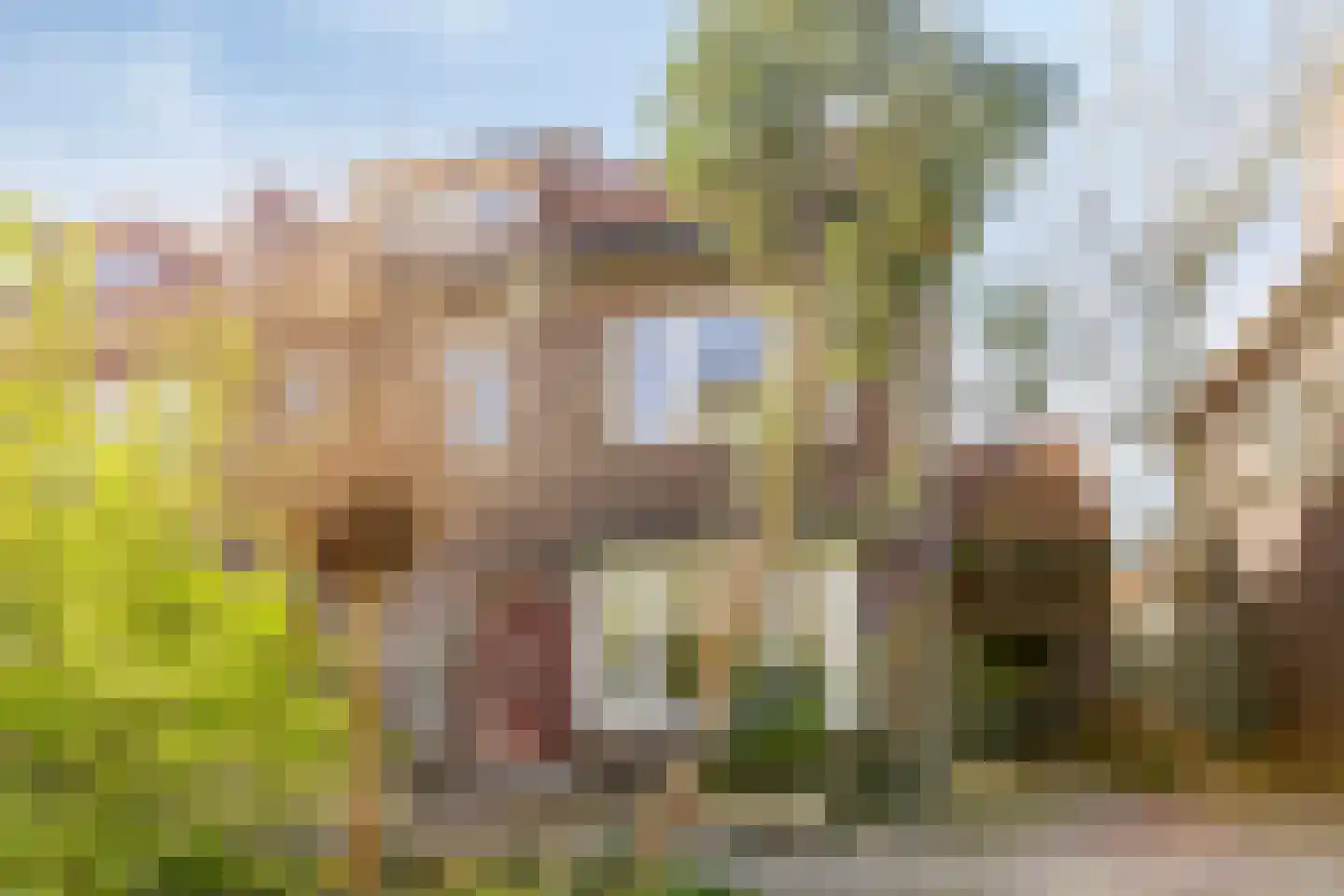 Prins Bernhardlaan 13 Zutphen thumbnail 37