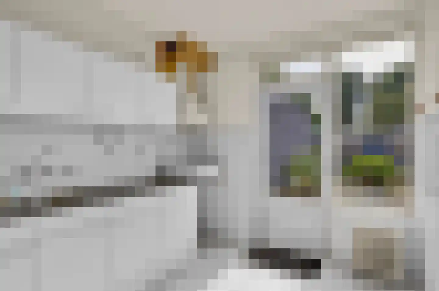 Prins Bernhardlaan 130 Joure thumbnail 15
