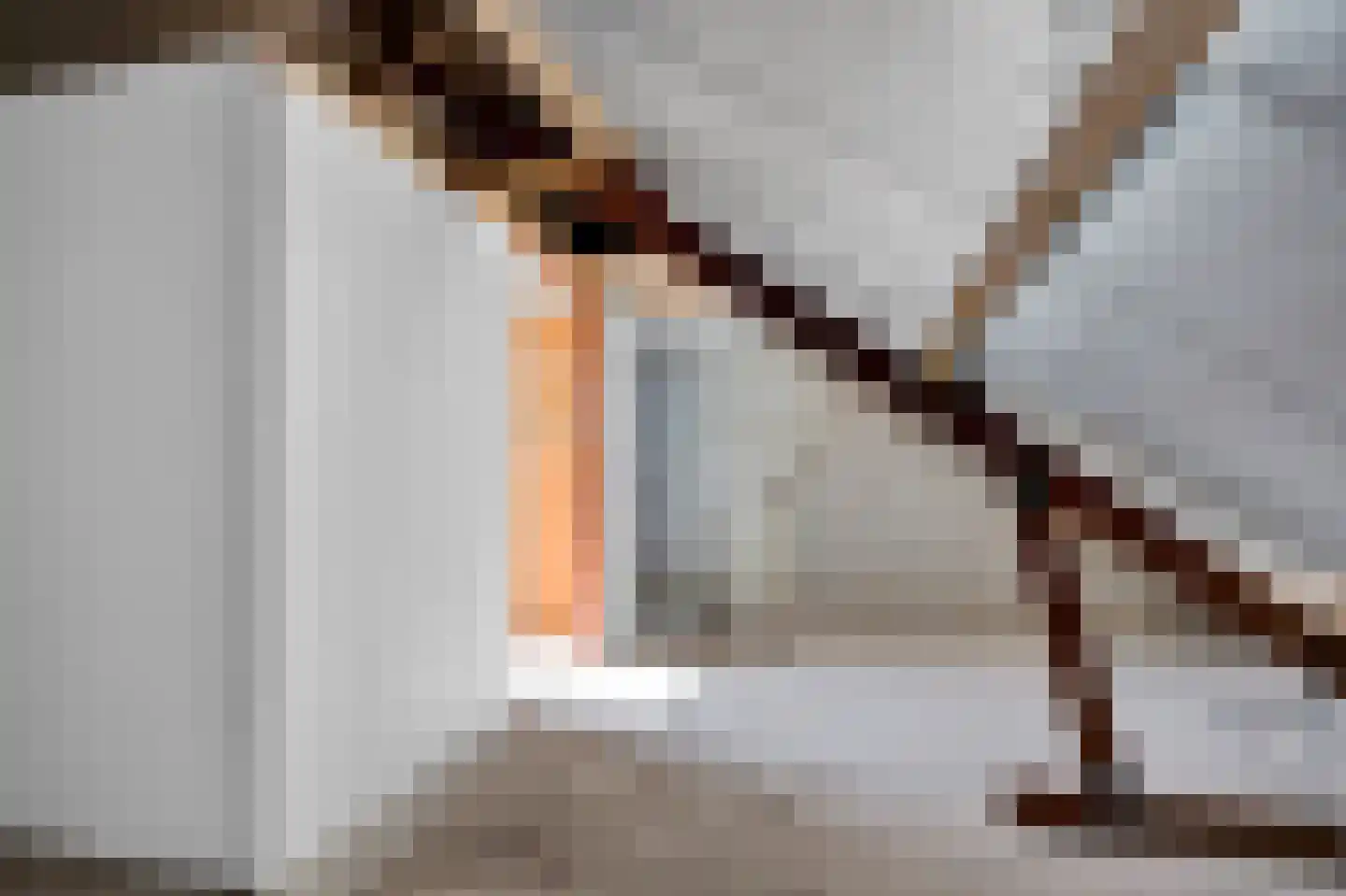 Prins Bernhardlaan 130 Joure thumbnail 27