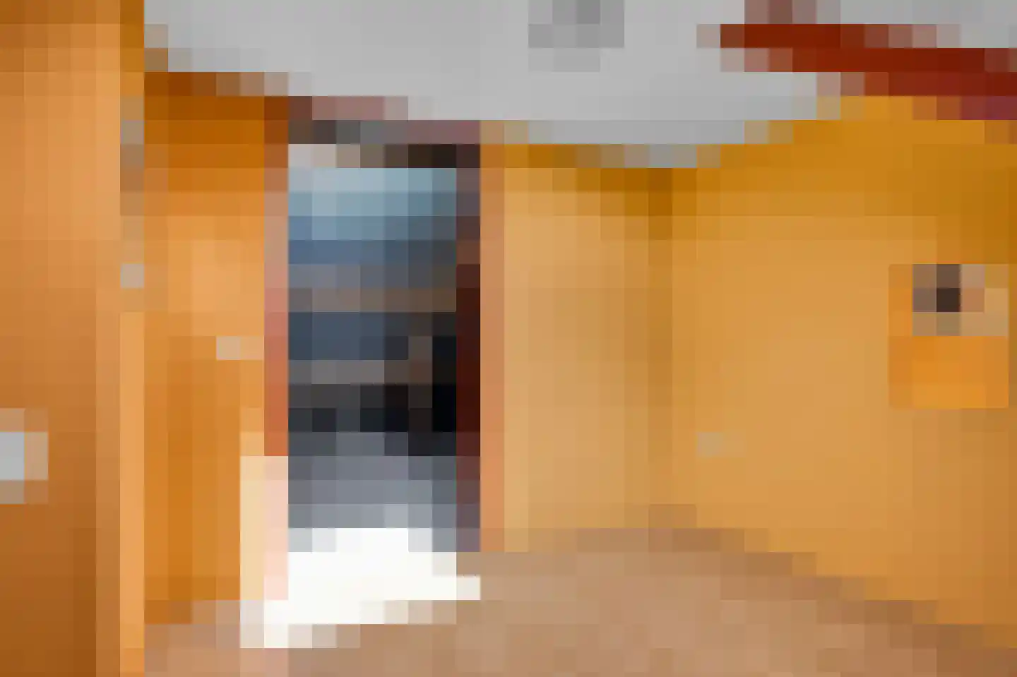 Prins Bernhardlaan 130 Joure thumbnail 30
