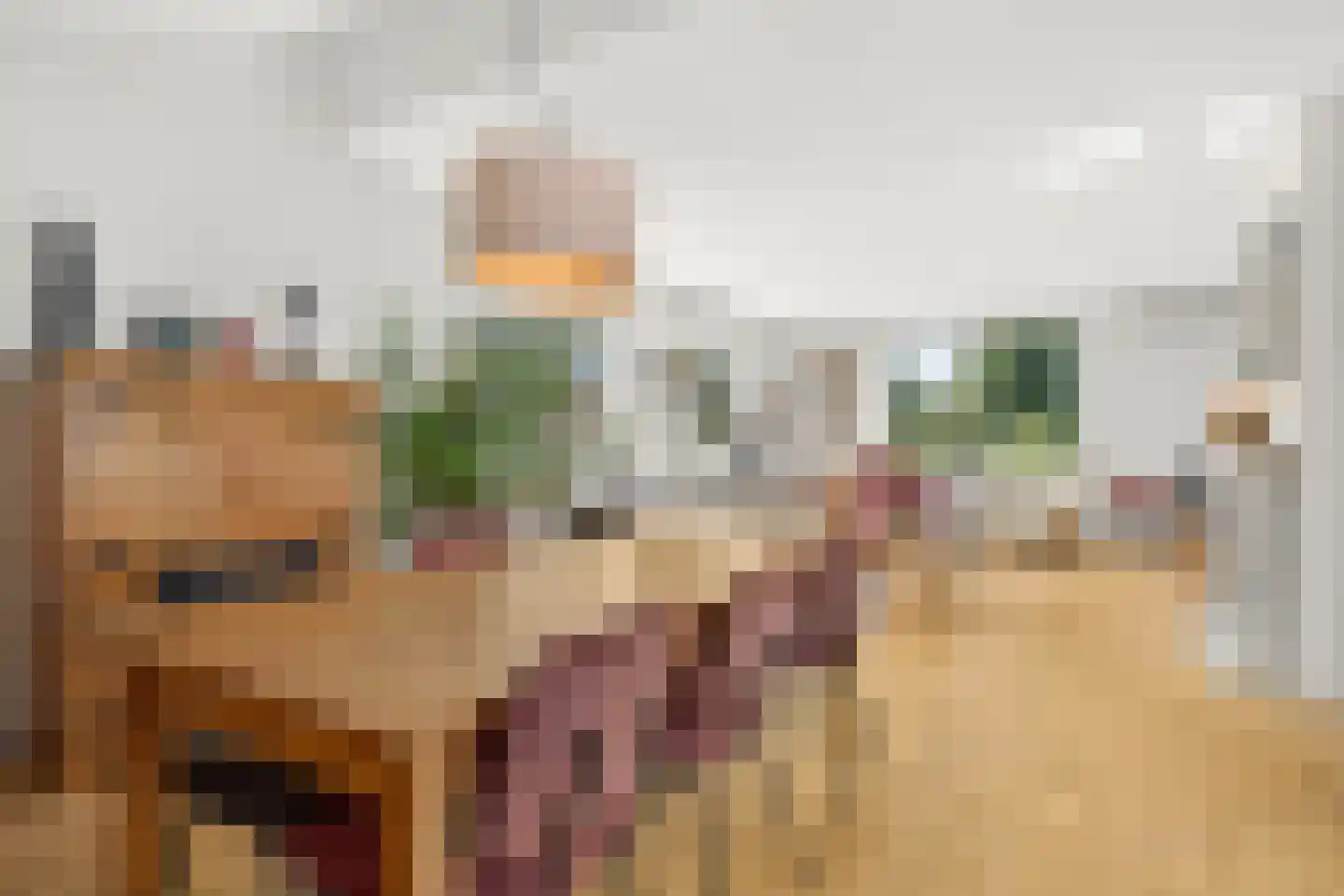 Prins-Bernhardlaan 14 Leersum thumbnail 10