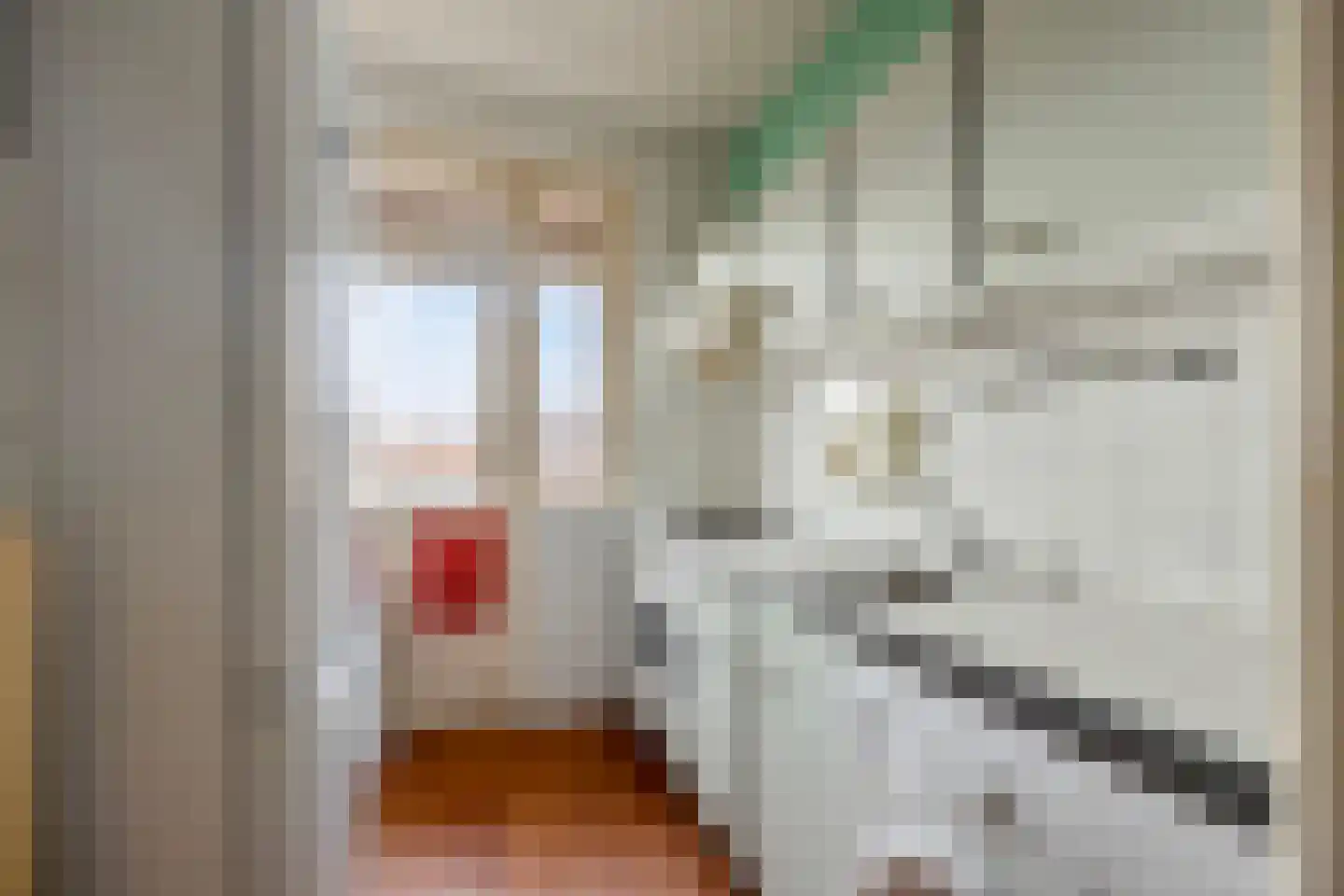 Prins Bernhardlaan 143 Voorburg thumbnail 13