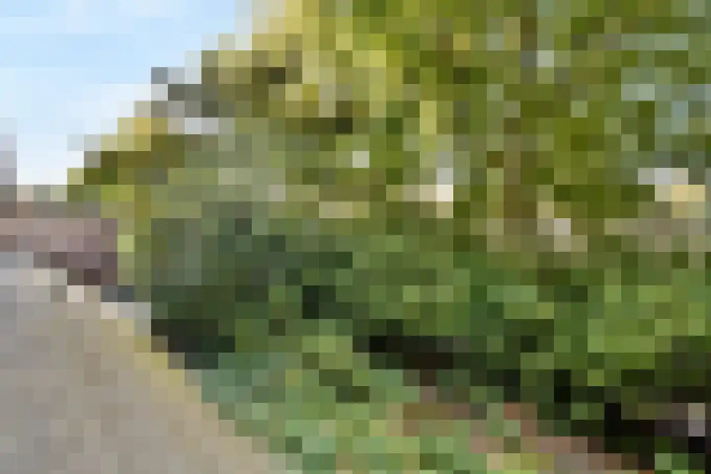 Prins Bernhardlaan 144 V Haarlem thumbnail 10