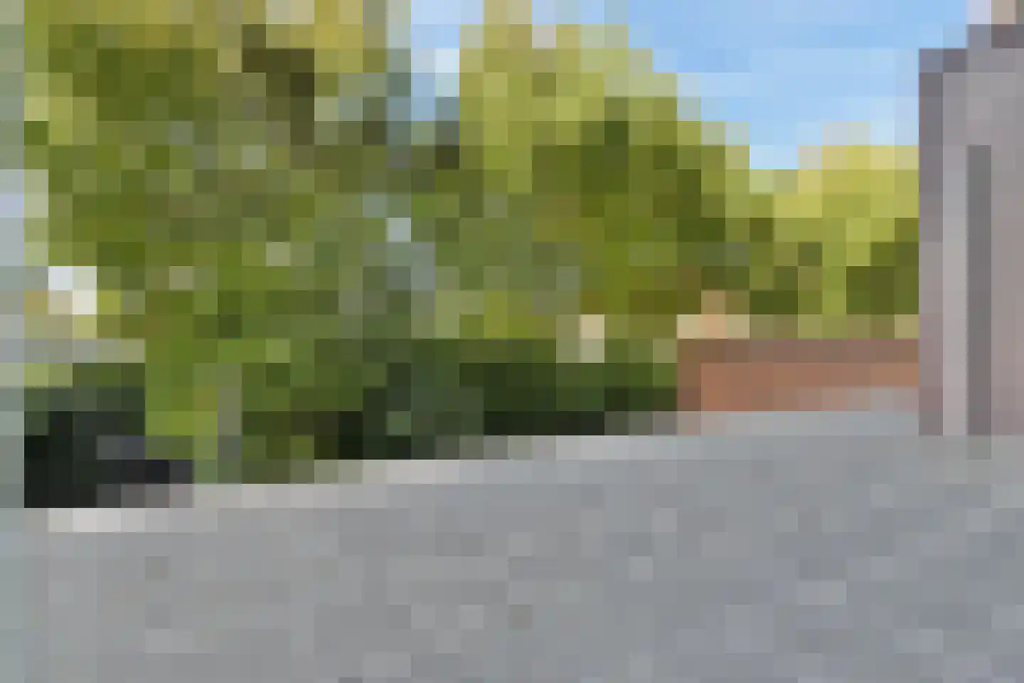 Prins Bernhardlaan 144 V Haarlem thumbnail 5