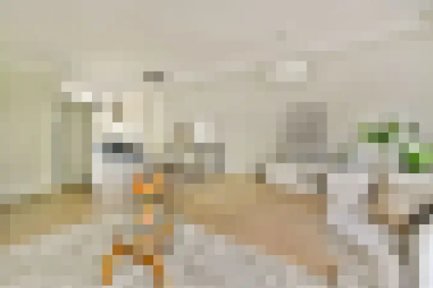 Prins Bernhardlaan 144 V Haarlem thumbnail 6