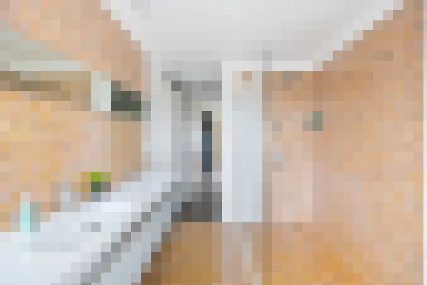 Prins Bernhardlaan 146 F Voorburg thumbnail 15