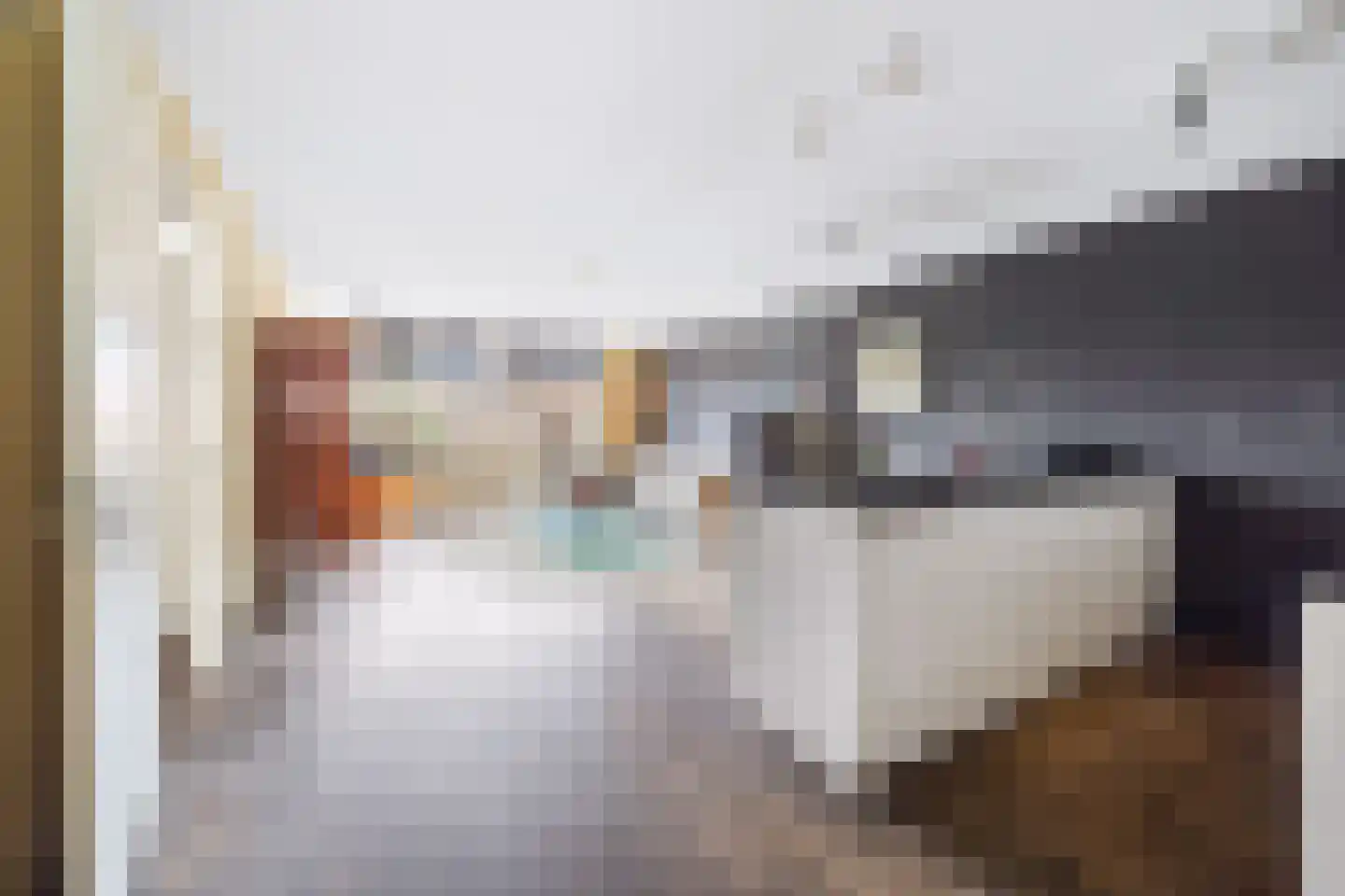Prins Bernhardlaan 146 F Voorburg thumbnail 6