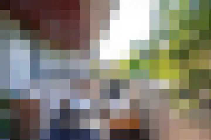 Prins Bernhardlaan 148 C Haarlem thumbnail 8