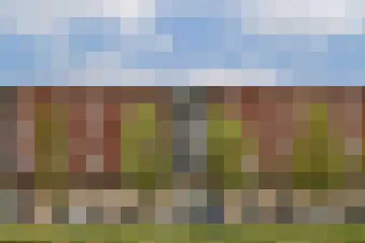 Prins Bernhardlaan 148 P Haarlem thumbnail 24