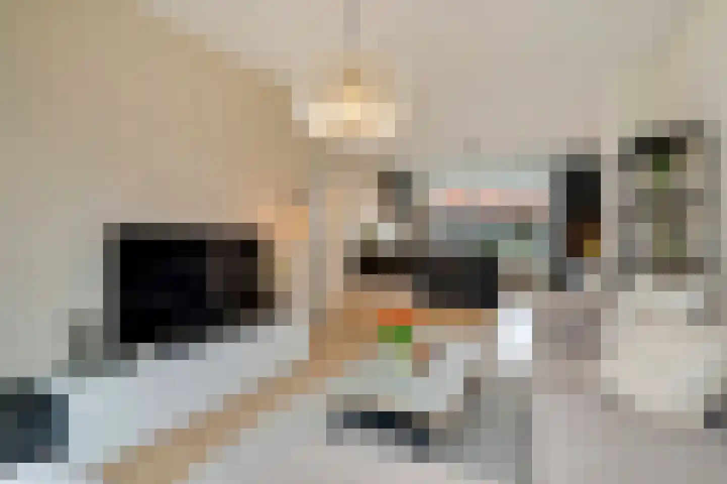 Prins Bernhardlaan 149 Voorburg thumbnail 20