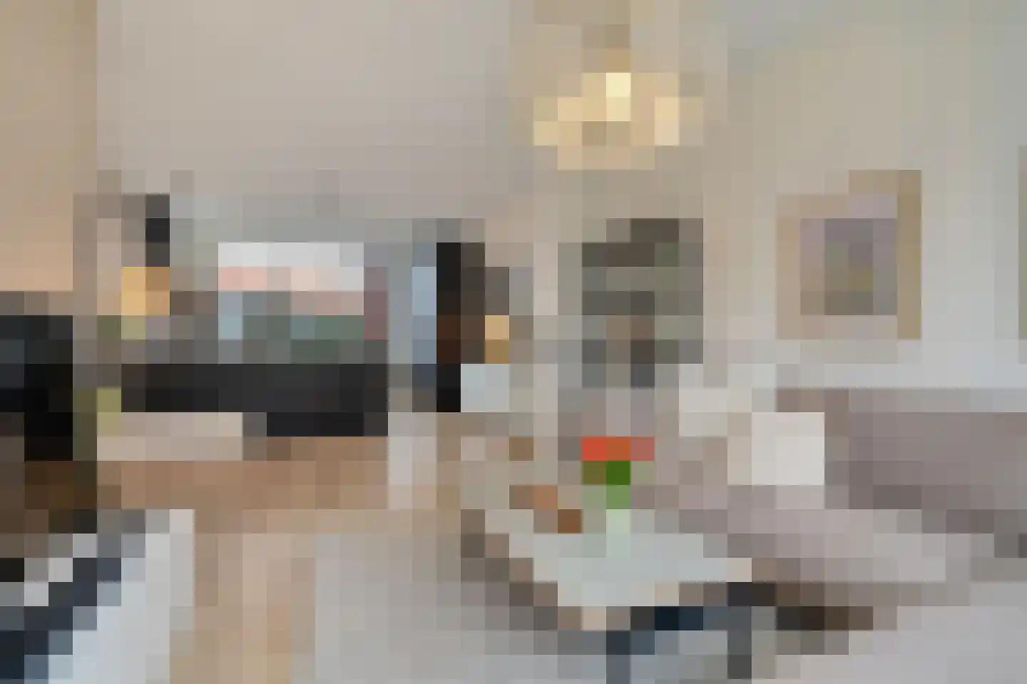 Prins Bernhardlaan 149 Voorburg thumbnail 21