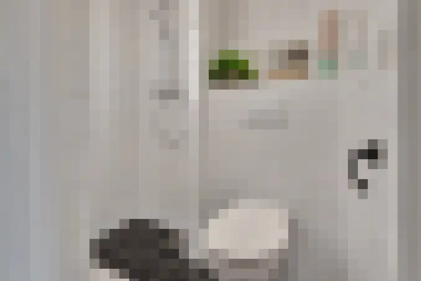Prins Bernhardlaan 149 Voorburg thumbnail 23