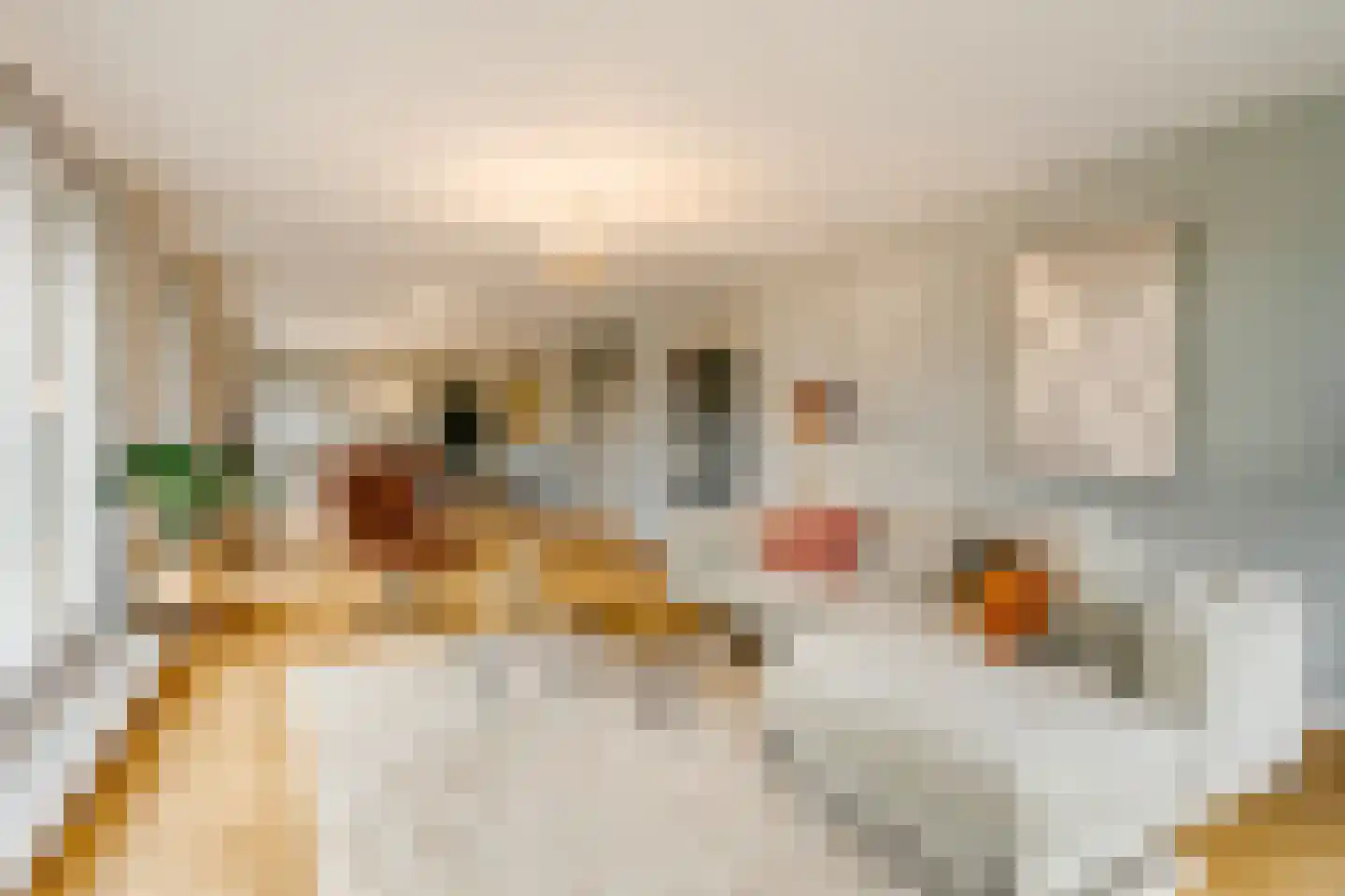 Prins Bernhardlaan 15 Amstelveen thumbnail 15